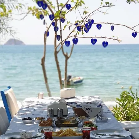 Bed and breakfast Okaliptus Butik Hotel