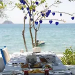 فندق مبيت وإفطار Okaliptus Butik Hotel