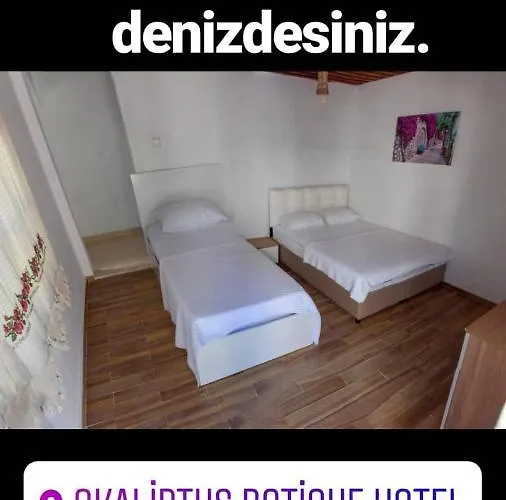 Okaliptus Butik Hotel Отель типа 