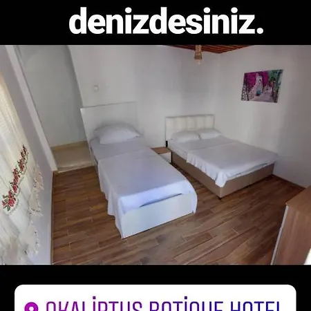 Okaliptus Butik Hotel Alojamento de Acomodação e Pequeno-almoço Fethiye