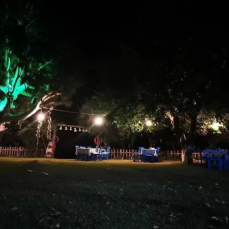 Okaliptus Butik Hotel Alojamento de Acomodação e Pequeno-almoço