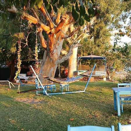 Alojamento de Acomodação e Pequeno-almoço Okaliptus Butik Hotel