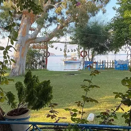 Okaliptus Butik Hotel Alojamento de Acomodação e Pequeno-almoço