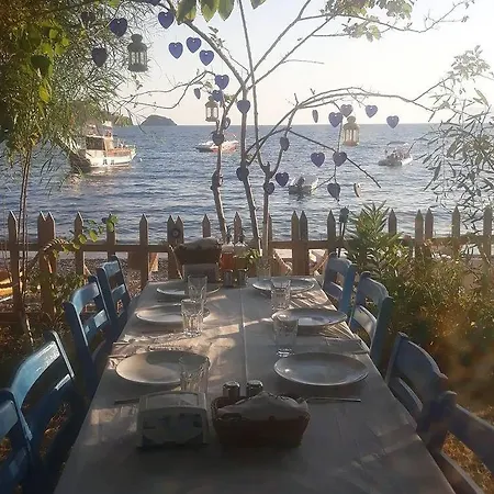 Alojamento de Acomodação e Pequeno-almoço Okaliptus Butik Hotel Fethiye