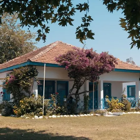 Okaliptus Butik Hotel *