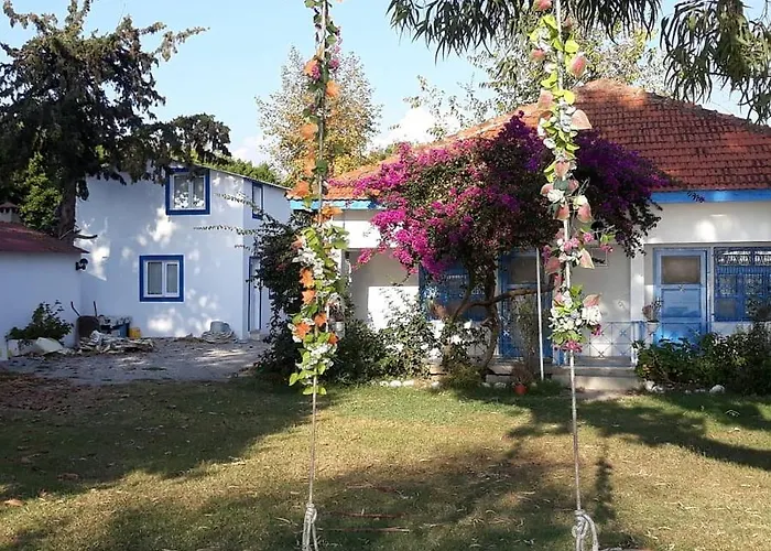 Bed & Breakfast Okaliptus Butik Hotel *