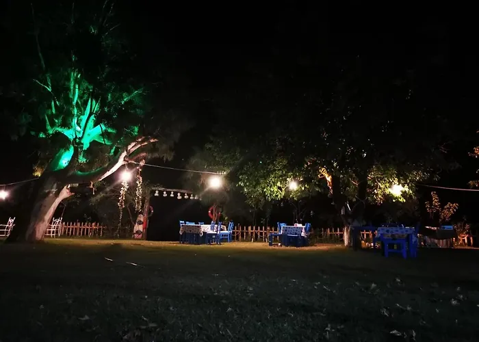 Okaliptus Butik Hotel Bed & Breakfast