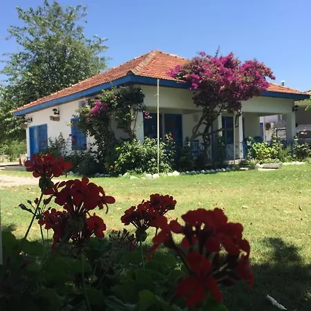 Bed and breakfast Okaliptus Butik Hotel