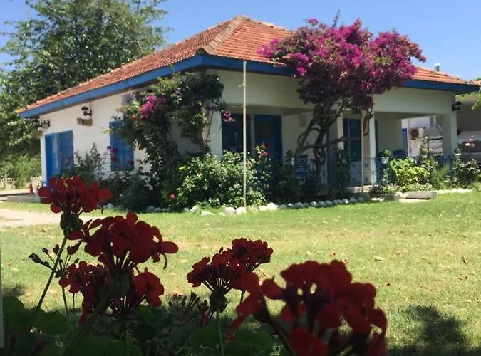 Bed & Breakfast Okaliptus Butik Hotel
